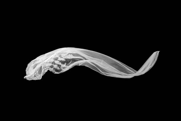 istock White Veil flounce on Black background 1128832170