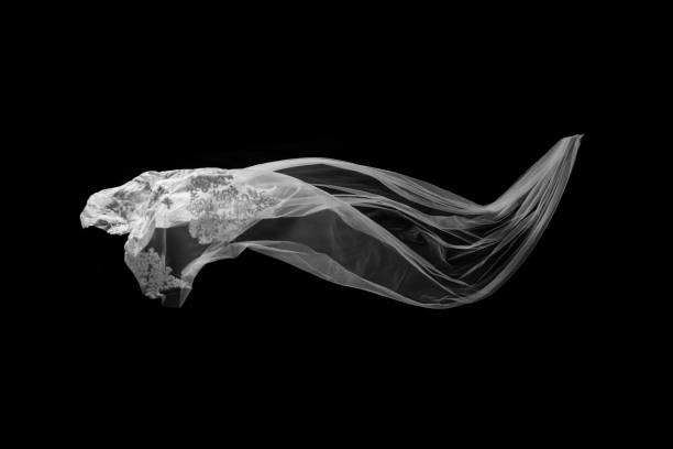 istock White Veil flounce on Black background 1128832190