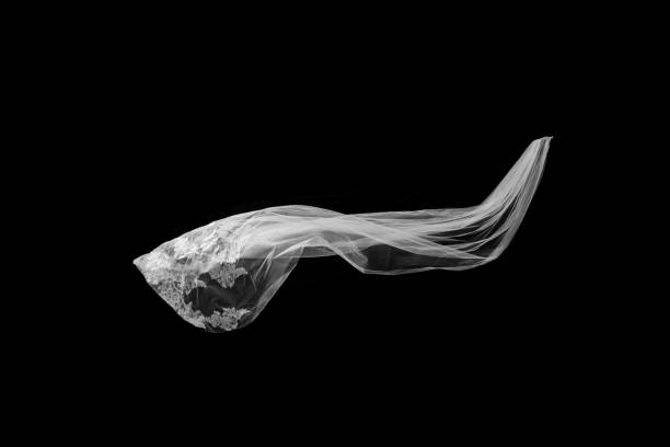 istock White Veil flounce on Black background 1128832203