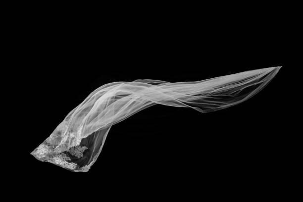 istock White Veil flounce on Black background 1128832214