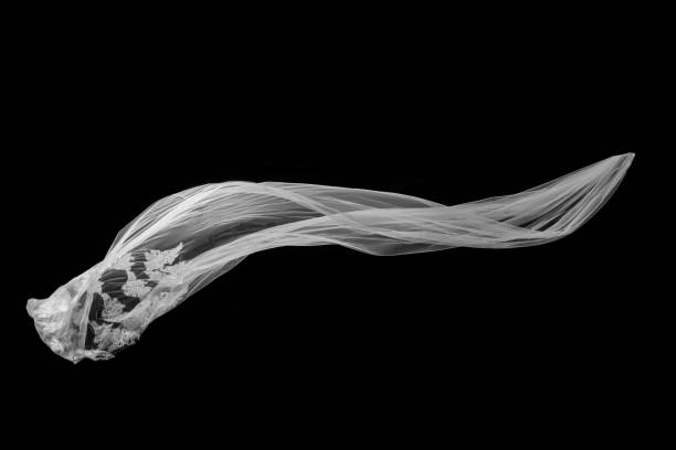 istock White Veil flounce on Black background 1128832215