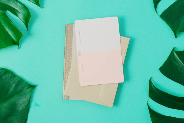 istock Summer Minimal Background Blank Card Monstera Leaves 1128832306