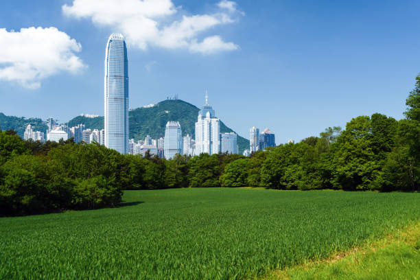 istock Hong Kong central district with city park 1128832565