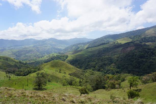 istock Lush green countryside in the mountains 1128834870