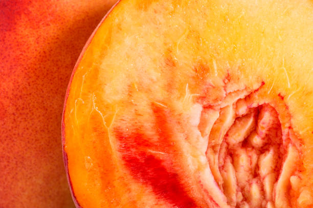 hintergrund von frischen pfirsichfrüchten , nahaufnahme - orange frucht fotos stock-fotos und bilder