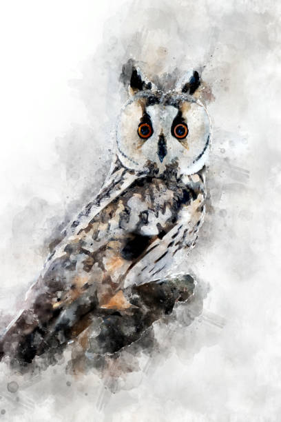 istock Owl - watercolor illustration portrait 1128841578