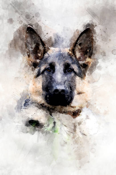 istock Dog - watercolor illustration portrait 1128841591