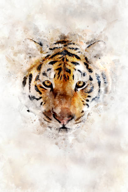 istock Tiger - watercolor illustration portrait 1128841603