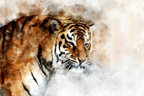 istock Tiger - watercolor illustration portrait 1128841612