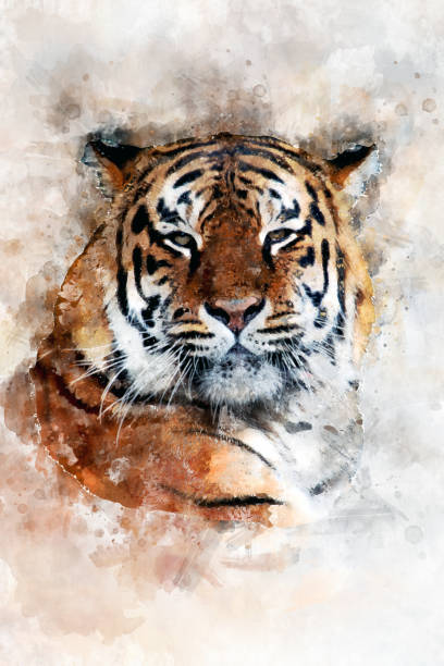 istock Tiger - watercolor illustration portrait 1128841615
