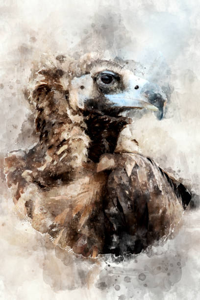istock Vulture - watercolor illustration portrait 1128841617