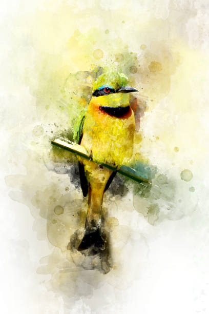 istock European bee-eater (Merops Apiaster) - watercolor illustration portrait 1128841628