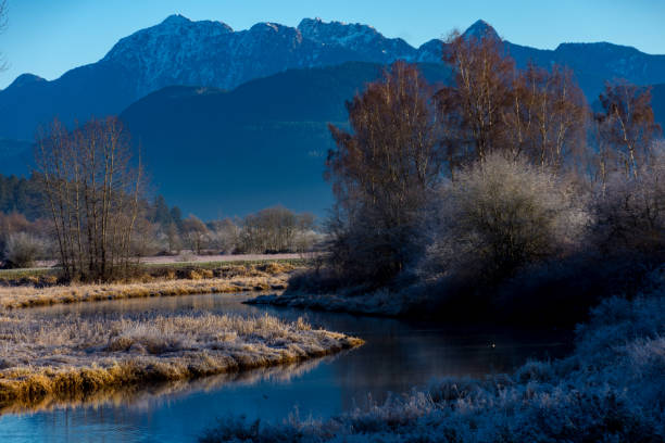 istock Bamboo Botanicals and DeBoville Slough, Coquitlam 1128843622