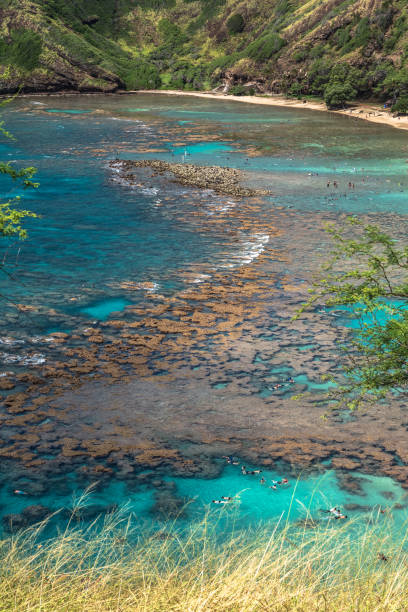 istock Hanauma Bay, Oahu, Hawaii 1128843726