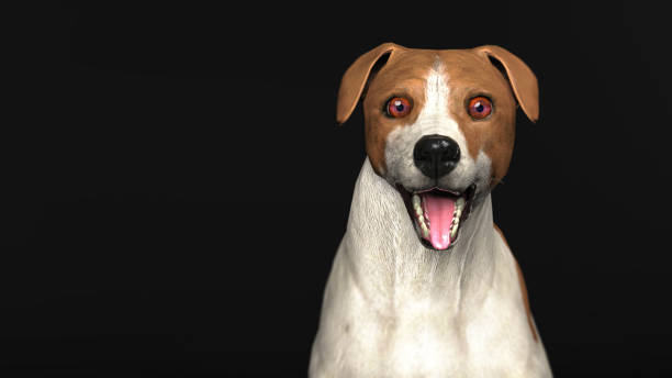 istock Amazed and shocked eyes from jack russel terrier portrait 3d illustration 1128847788