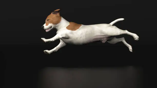 3d illustration of jackrussel terrier dog side view when running