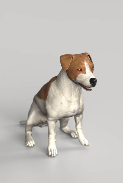 istock Jack russel terrier sitting calmly 3d illustration 1128847814