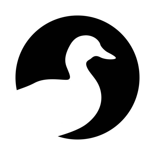 Duck symbol Sign head duck. Icon duck. Isolated white silhouette duck in the circle on black background. Vector illustration mallard duck stock illustrations