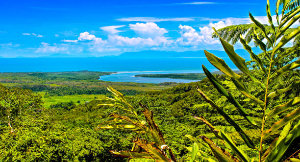 istock Cairns Australia View over the rainforest to the sea 1128851992
