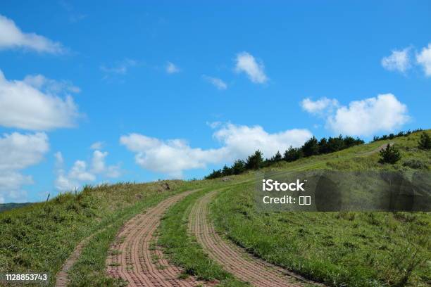 Gold And Gold Outlook Stock Photo - Download Image Now - Autumn, Cliff, Cloud - Sky
