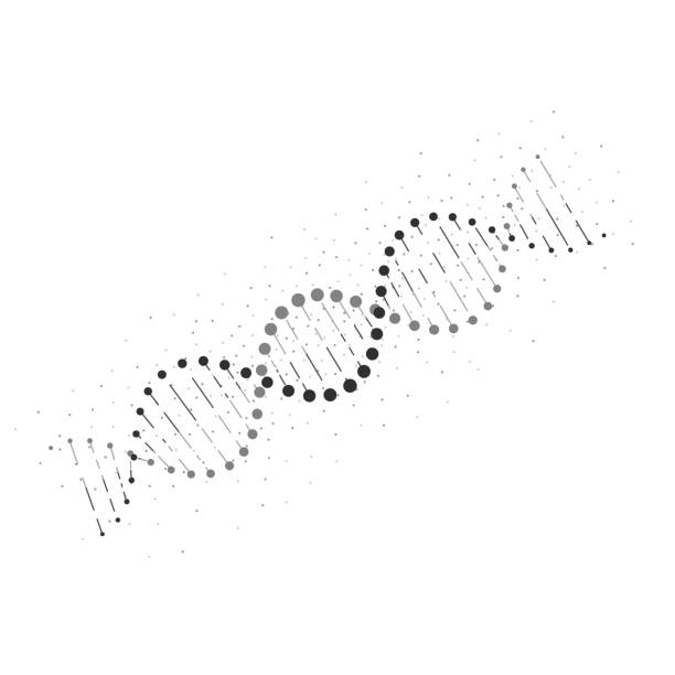 抽象的な dna 構造。dna のアイコン。白い背景で隔離のベクトル図 - genetic information点のイラスト素材／クリップアート素材／マンガ素材／アイコン素材