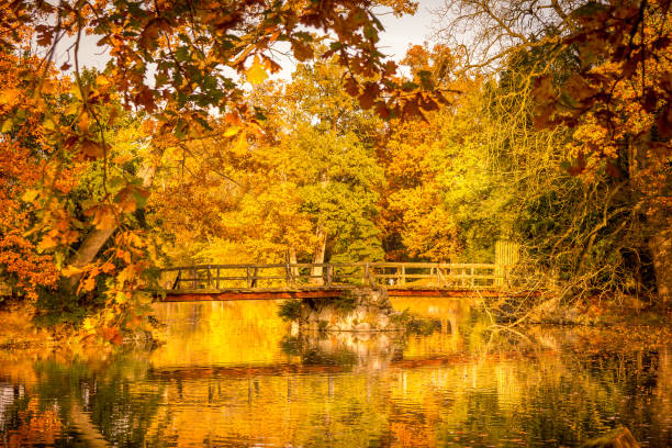 istock Lake during autumn in Lednice Park, Czech Republic 1128859303