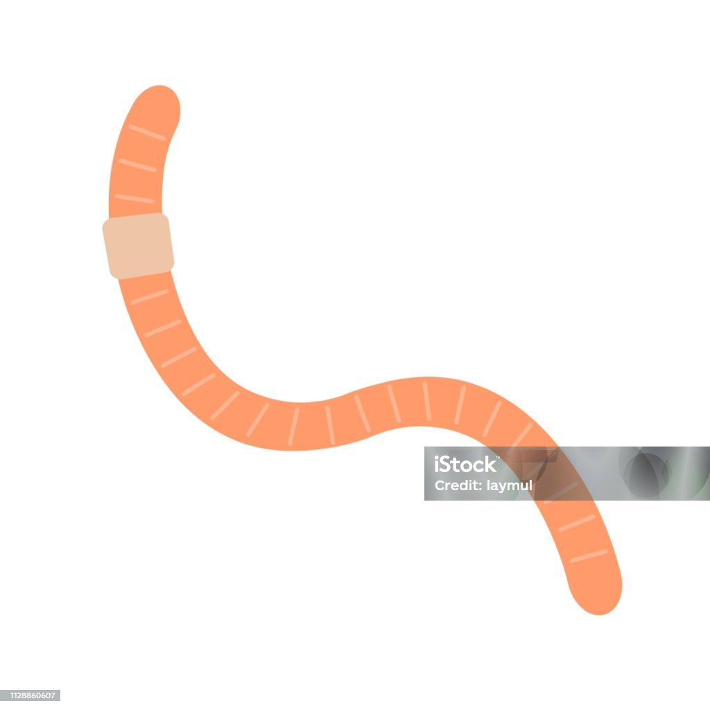 Angleworm Stock Illustration - Download Image Now - Clip Art, Earthworm ...