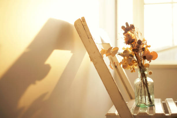 Dry flower stained in sunset in a relaxed time