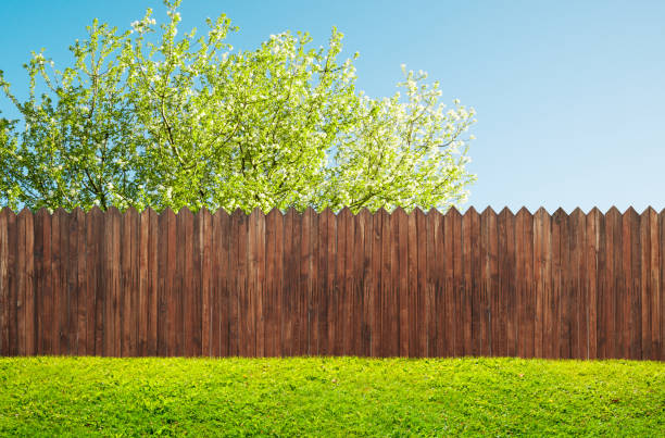 une barrière de jardin en bois à l’arrière-cour et la floraison des arbres au printemps - fence photos et images de collection