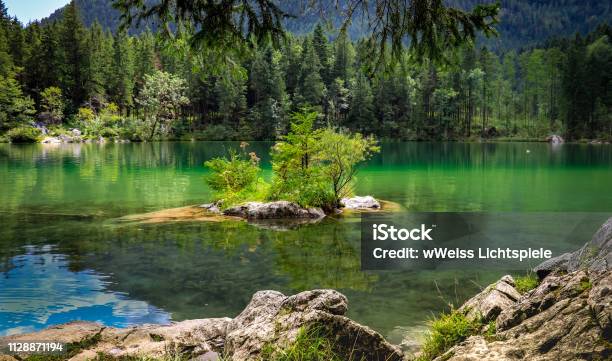 Hintersee Bäume Auf Fels Im Wasser Berchtesgadener Land Ramsau Alpen Bayern Wandern Stockfoto und mehr Bilder von Alpen