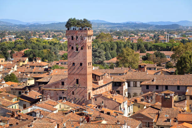 Guinigi Tower in Lucca, Italy Lucca, Italy. Torre Guinigi - brick tower from 14th century topped by holm-oak trees lucca stock pictures, royalty-free photos & images