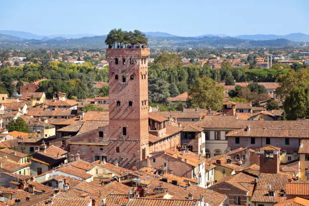 Lucca, Italy. Torre Guinigi - brick tower from 14th century topped by holm-oak trees