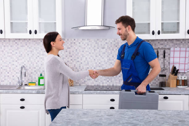 istock Plumber Shaking Hands With Woman 1128872893