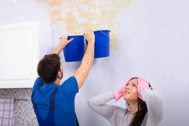 istock Unhappy Woman Standing With Handyman While Collecting Water 1128872909
