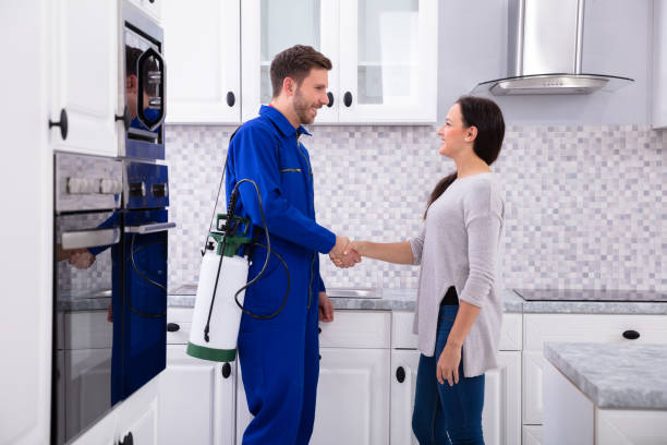 istock Pest Control Worker Shaking Hands With Woman 1128873454