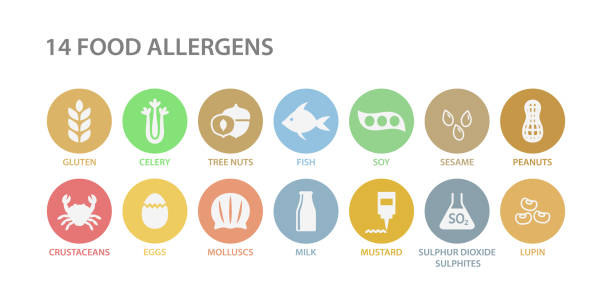 Food allergens white icons in pastel colorful circles. 14 food allergens vector circle icon set. Peanut, gluten, lactose soy allergy icons. Food allergens white icons in pastel colorful circles. 14 food allergens vector circle icon set. Peanut, gluten, lactose soy allergy icons. Menu list of allergies. allergy icon stock illustrations
