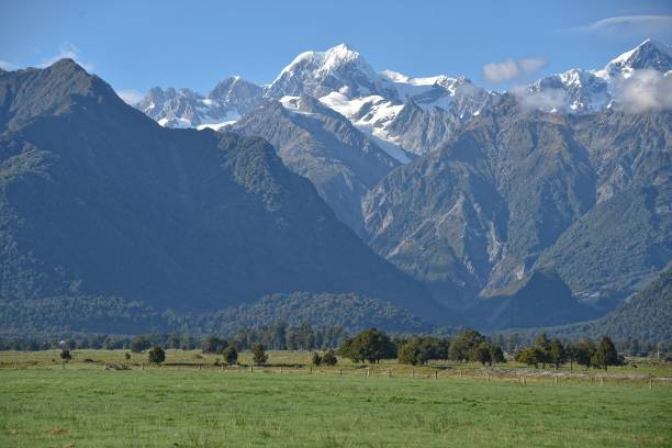istock Fox Glacier, New Zealand 1128877252