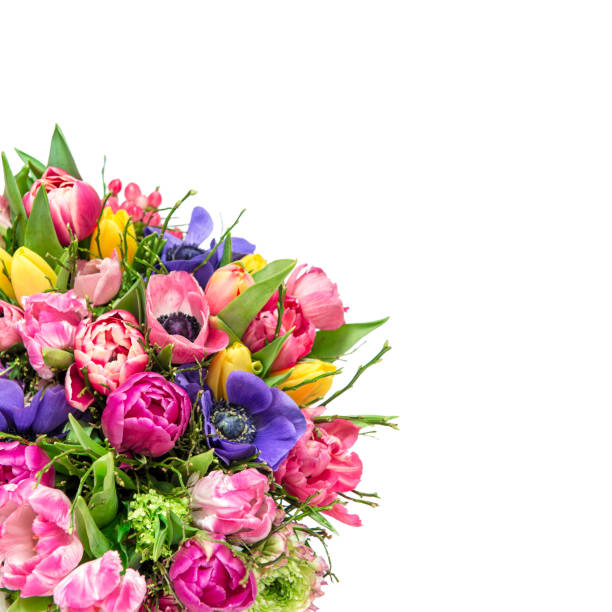 istock Bouquet spring tulip flowers isolated white background 1128879502