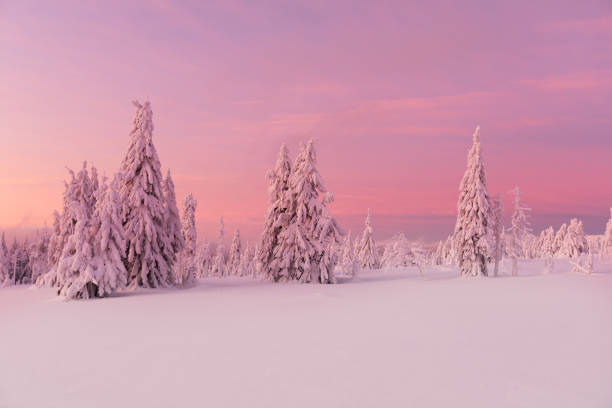 istock Beautiful winter landscape, trees covered with snow. 1128881921
