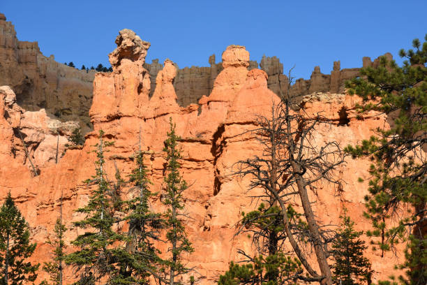 istock landscape on the bryce canyon 1128883653