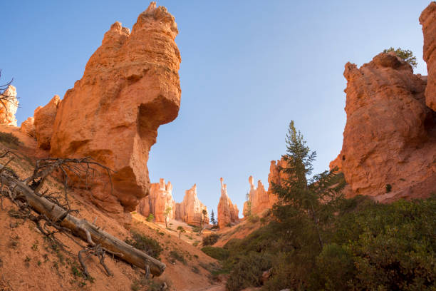 istock landscape on the bryce canyon 1128883672