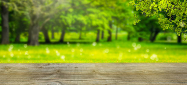 istock wooden table in idyllic landscape background 1128884301