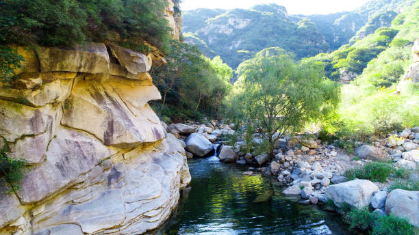istock Clear river with rocks in the mountain 1128884378