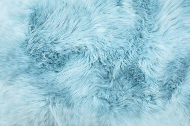 istock Sheep fur Blue colored sheepskin rug background texture 1128884938
