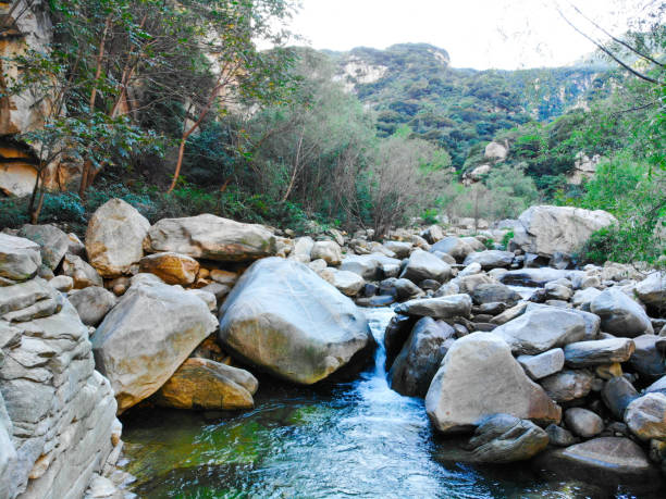 istock Clear river with rocks in the mountain 1128889177