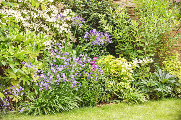 istock Flower bed in a garden 1128891178