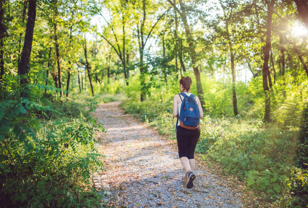 istock Back view photo of female backpacker walking on forest path. 1128892432