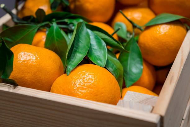 istock Fresh mandarins with green leafs in the box 1128897465