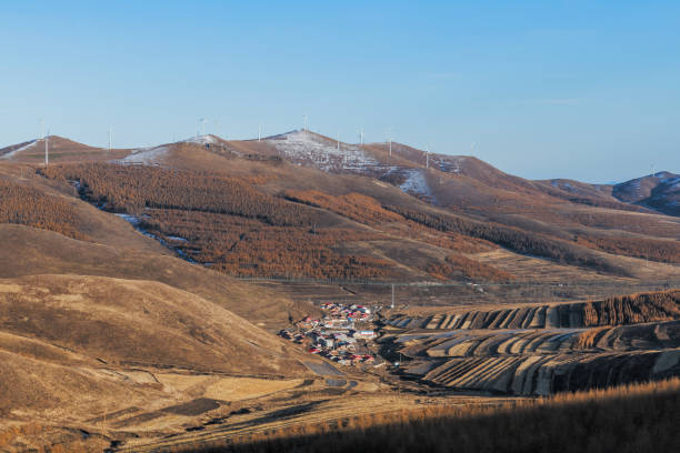 Autumn Grassland Autumn grassland in China 秋天 stock pictures, royalty-free photos & images