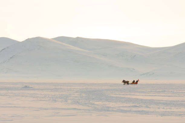 istock Horses pulling sleigh in winter - Cildir Lake, Kars 1128899116